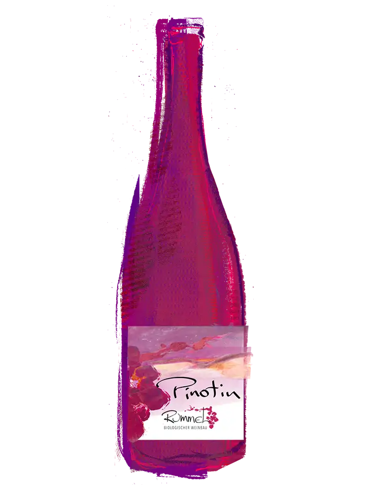 Pinotin trocken